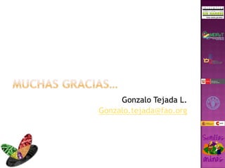 Taller semillas 2011 Gonzalo Tejada