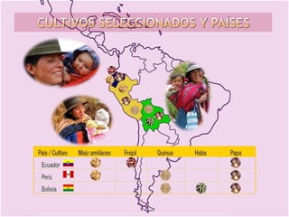 Taller semillas 2011 Gonzalo Tejada