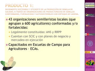 Taller semillas 2011 Gonzalo Tejada