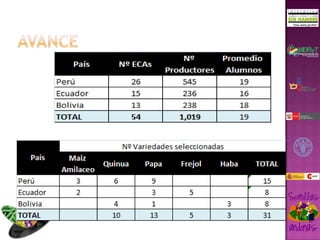 Taller semillas 2011 Gonzalo Tejada