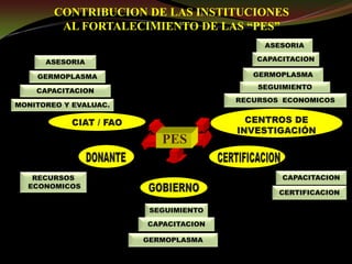 Taller semillas 2011 Guillermo Giraldo