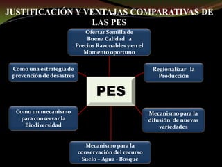 Taller semillas 2011 Guillermo Giraldo