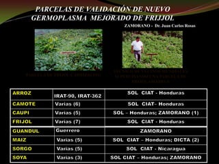 Taller semillas 2011 Guillermo Giraldo