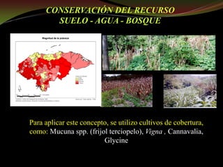 Taller semillas 2011 Guillermo Giraldo