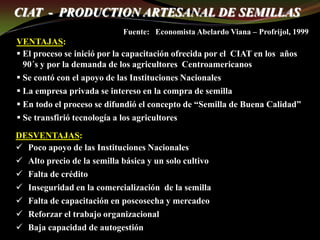 Taller semillas 2011 Guillermo Giraldo