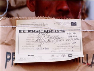 Taller semillas 2011 Guillermo Giraldo