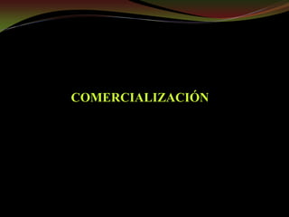 Taller semillas 2011 Guillermo Giraldo