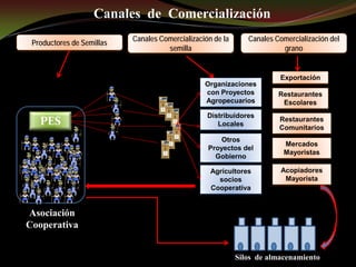 Taller semillas 2011 Guillermo Giraldo