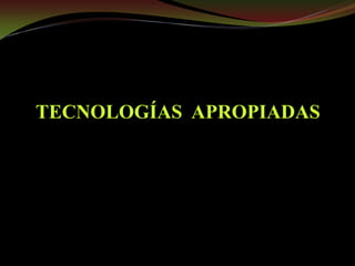 Taller semillas 2011 Guillermo Giraldo