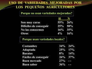 Taller semillas 2011 Guillermo Giraldo