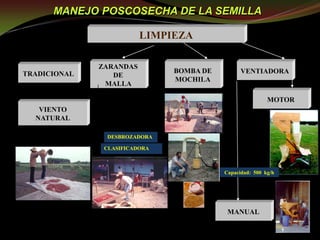 Taller semillas 2011 Guillermo Giraldo