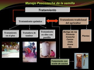 Taller semillas 2011 Guillermo Giraldo