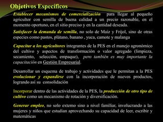 Taller semillas 2011 Guillermo Giraldo