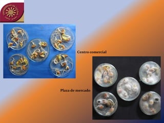 Centro comercial




Plaza de mercado
 