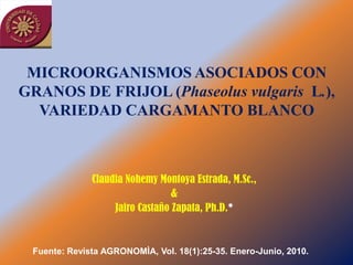 MICROORGANISMOS ASOCIADOS CON
GRANOS DE FRIJOL (Phaseolus vulgaris L.),
  VARIEDAD CARGAMANTO BLANCO



              Claudia Nohemy Montoya Estrada, M.Sc.,
                                 &
                   Jairo Castaño Zapata, Ph.D.*


 Fuente: Revista AGRONOMÌA, Vol. 18(1):25-35. Enero-Junio, 2010.
 