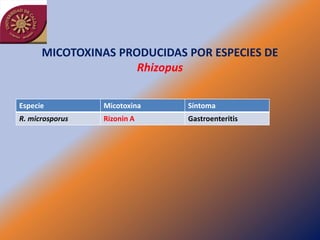 MICOTOXINAS PRODUCIDAS POR ESPECIES DE
                     Rhizopus

Especie          Micotoxina   Síntoma
R. microsporus   Rizonin A    Gastroenteritis
 