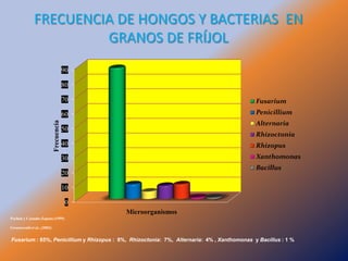 Taller semillas 2011 Jairo Castaño