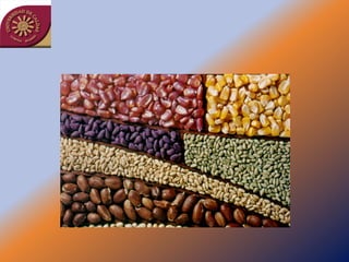 Taller semillas 2011 Jairo Castaño