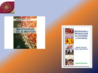 Taller semillas 2011 Jairo Castaño