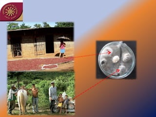 Taller semillas 2011 Jairo Castaño