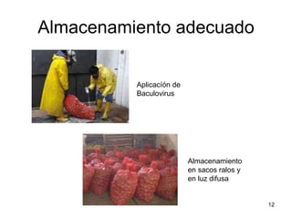 Taller semillas 2011 Jorge Andrade