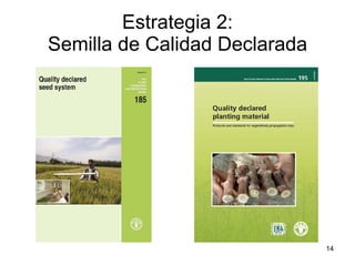 Taller semillas 2011 Jorge Andrade