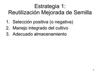 Taller semillas 2011 Jorge Andrade