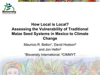 How Local is Local?
Assessing the Vulnerability of Traditional
Maize Seed Systems in Mexico to Climate
               Change
      Mauricio R. Bellon1, David Hodson2
                and Jon Hellin2
       1Bioversity   International, 2CIMMYT
 