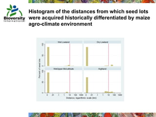 Taller semillas 2011 Mauricio Bellon