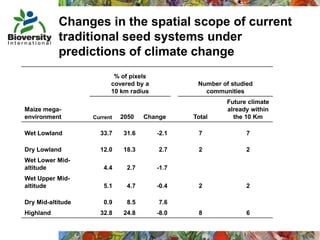 Taller semillas 2011 Mauricio Bellon