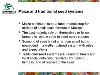 Taller semillas 2011 Mauricio Bellon