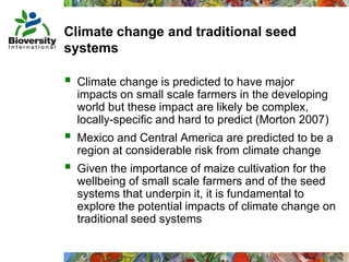 Taller semillas 2011 Mauricio Bellon