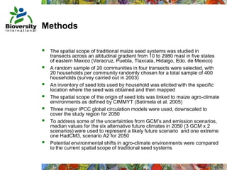 Taller semillas 2011 Mauricio Bellon