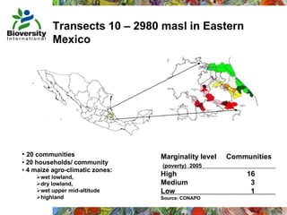 Taller semillas 2011 Mauricio Bellon