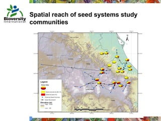 Taller semillas 2011 Mauricio Bellon