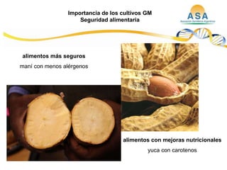 Taller semillas 2011  M. Fabiana Malacarne