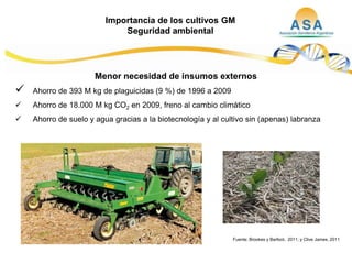 Taller semillas 2011  M. Fabiana Malacarne