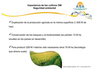 Taller semillas 2011  M. Fabiana Malacarne