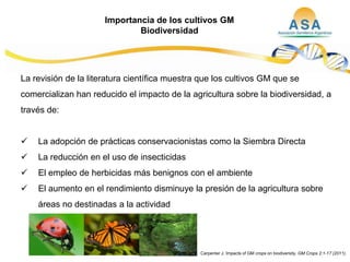 Taller semillas 2011  M. Fabiana Malacarne