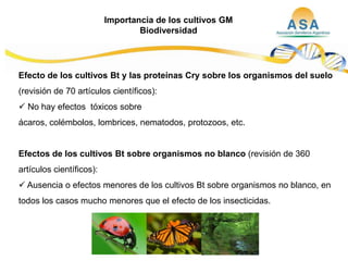 Taller semillas 2011  M. Fabiana Malacarne