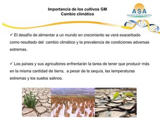 Taller semillas 2011  M. Fabiana Malacarne