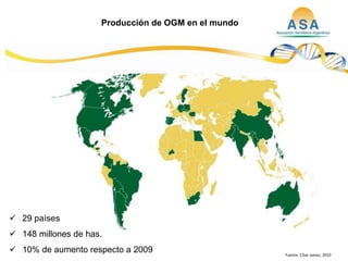 Taller semillas 2011  M. Fabiana Malacarne