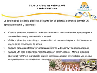 Taller semillas 2011  M. Fabiana Malacarne