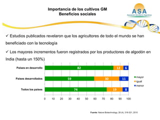Taller semillas 2011  M. Fabiana Malacarne