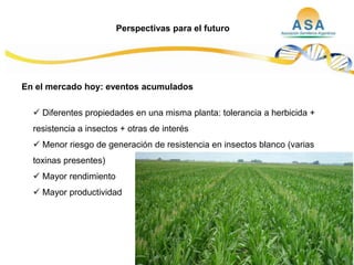 Taller semillas 2011  M. Fabiana Malacarne