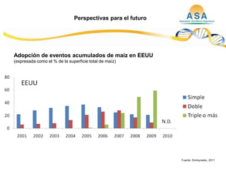 Taller semillas 2011  M. Fabiana Malacarne