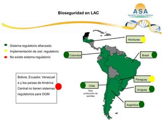 Taller semillas 2011  M. Fabiana Malacarne