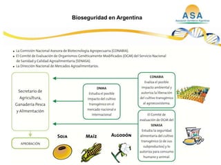 Taller semillas 2011  M. Fabiana Malacarne