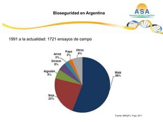 Taller semillas 2011  M. Fabiana Malacarne