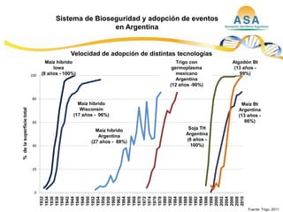 Taller semillas 2011  M. Fabiana Malacarne
